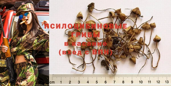 прущая мука Абдулино