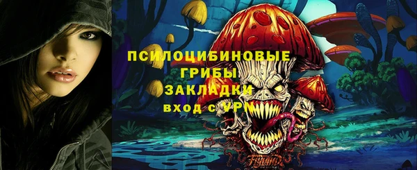 дурь Магас